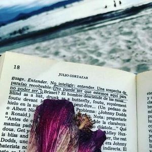 Meet your Posher, Iliana mercedes